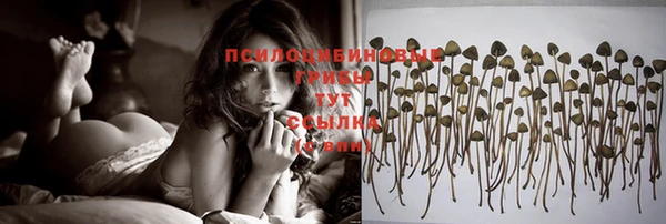 синтетический гашиш Алексин