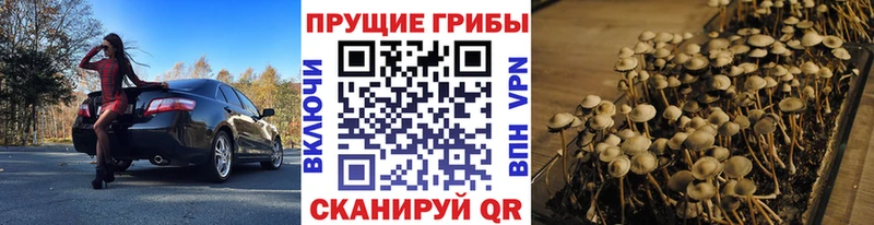 Псилоцибиновые грибы мицелий  где продают наркотики  Харовск 